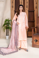 3 Piece - Dyed Embroidered Lawn Suit - V2-03