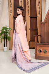 3 Piece - Dyed Embroidered Lawn Suit - V2-03