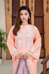 3 Piece - Dyed Embroidered Lawn Suit - V2-03