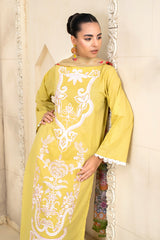 3 Piece - Dyed Embroidered Lawn Suit - V2-05