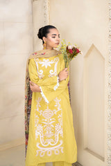 3 Piece - Dyed Embroidered Lawn Suit - V2-05