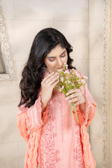 3 Piece - Chikenkari Lawn Suit - V1 - 03