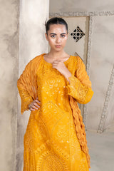 3 Piece - Chikenkari Lawn Suit - V1 - 02